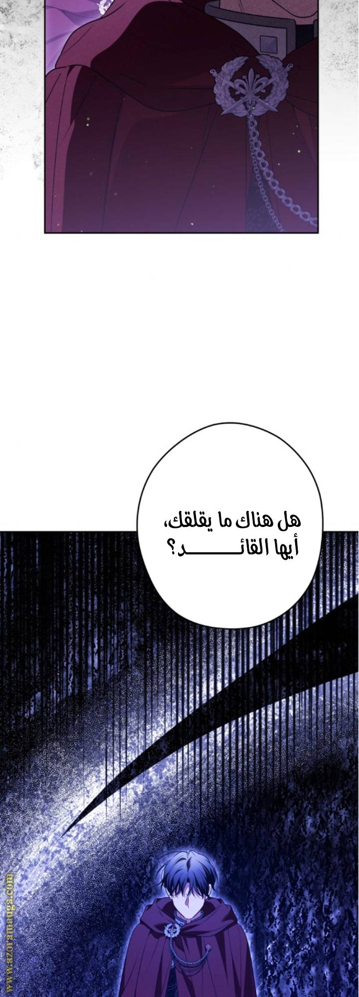 الصفحة 27