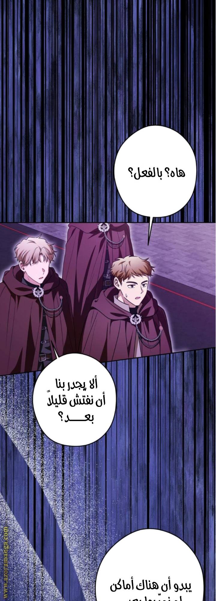 الصفحة 29