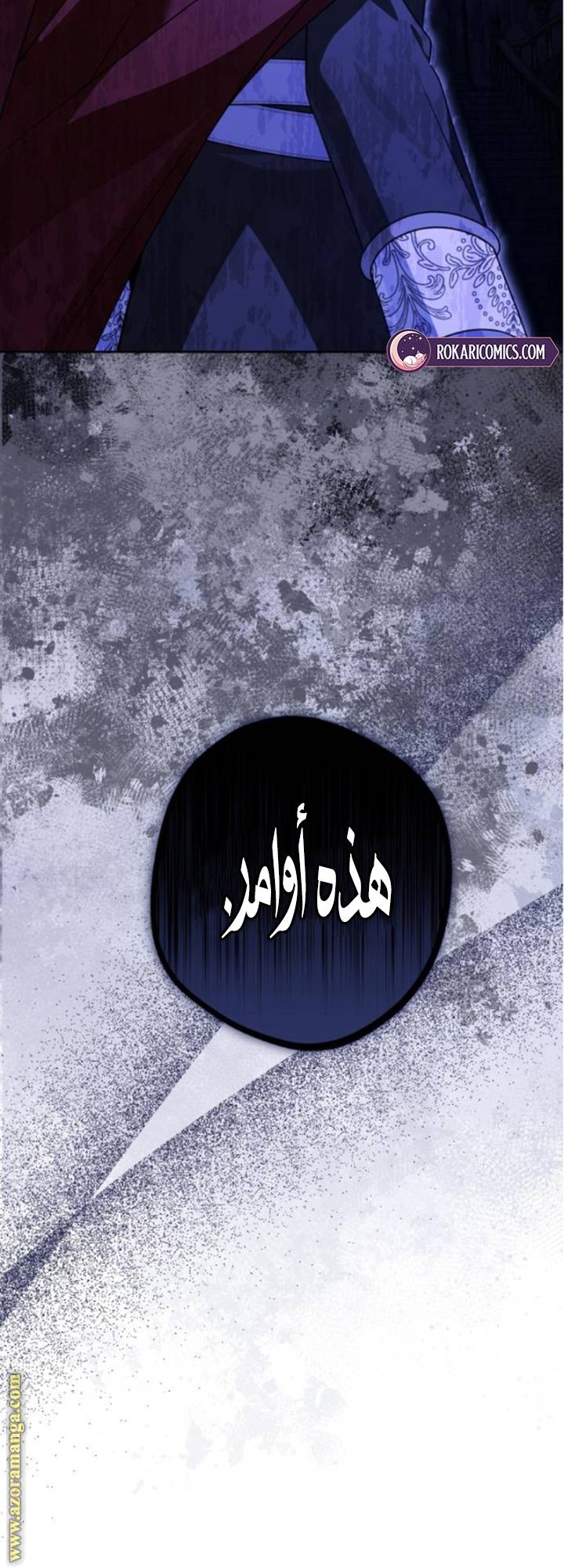 الصفحة 31