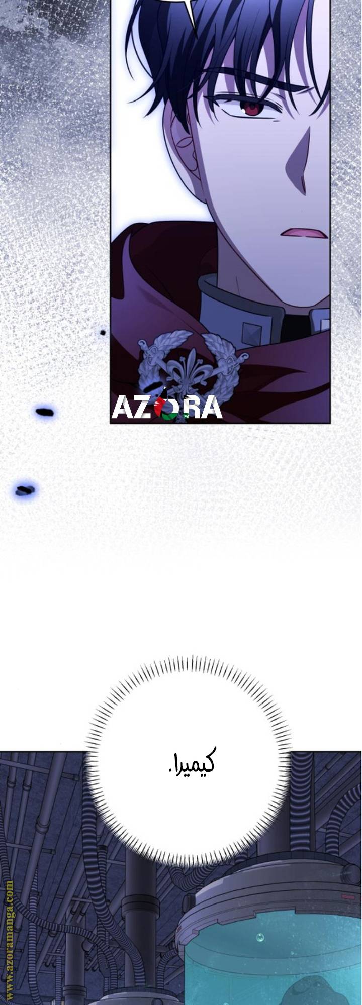 الصفحة 41