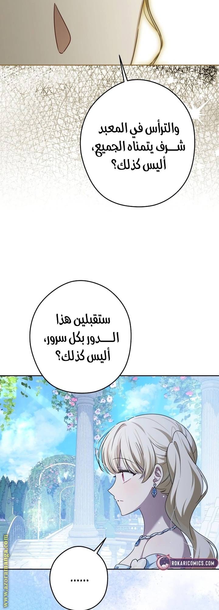 الصفحة 17