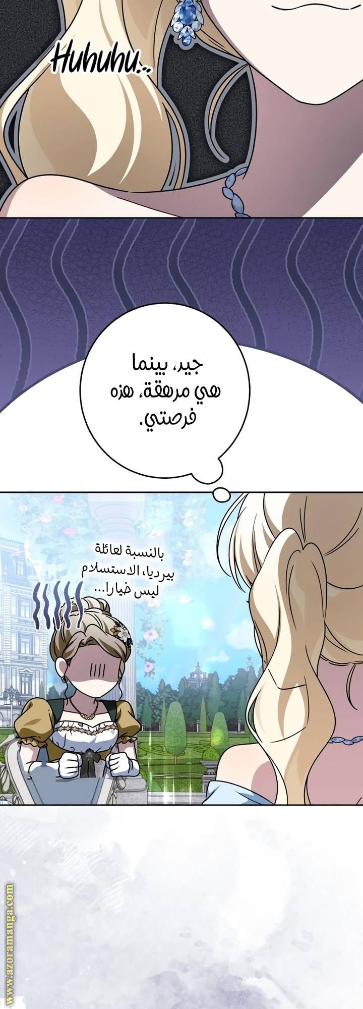 الصفحة 25