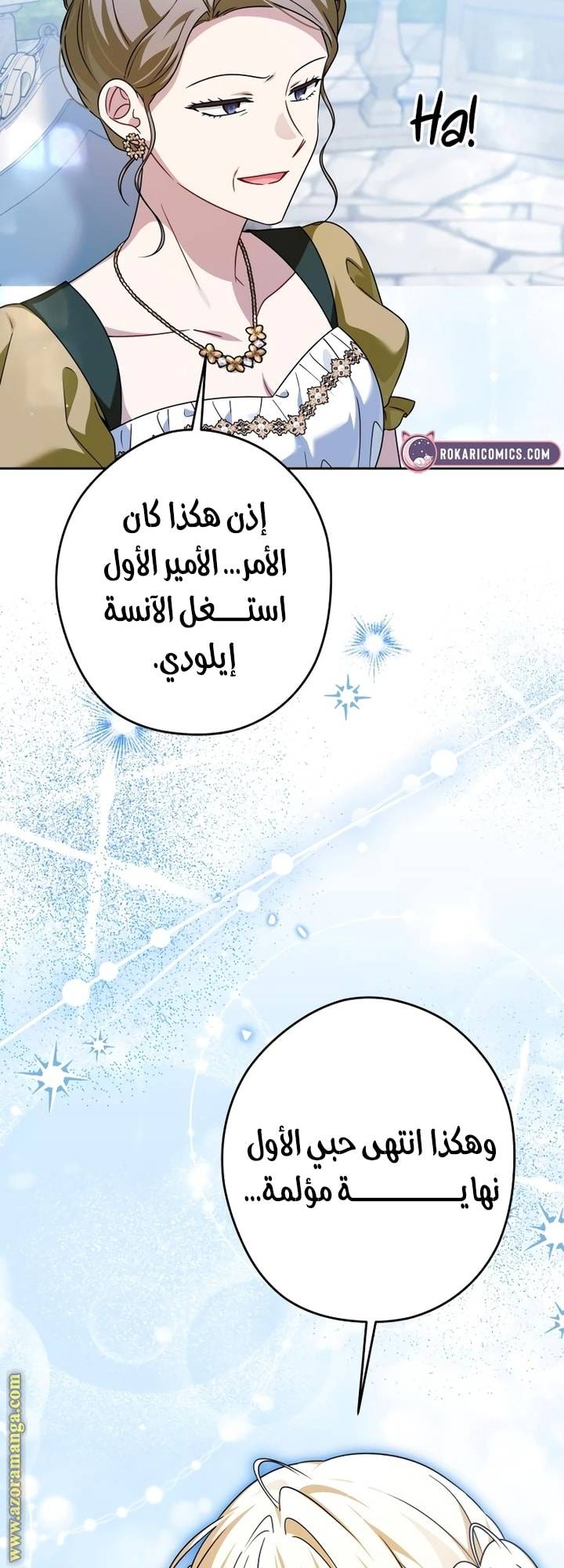الصفحة 28