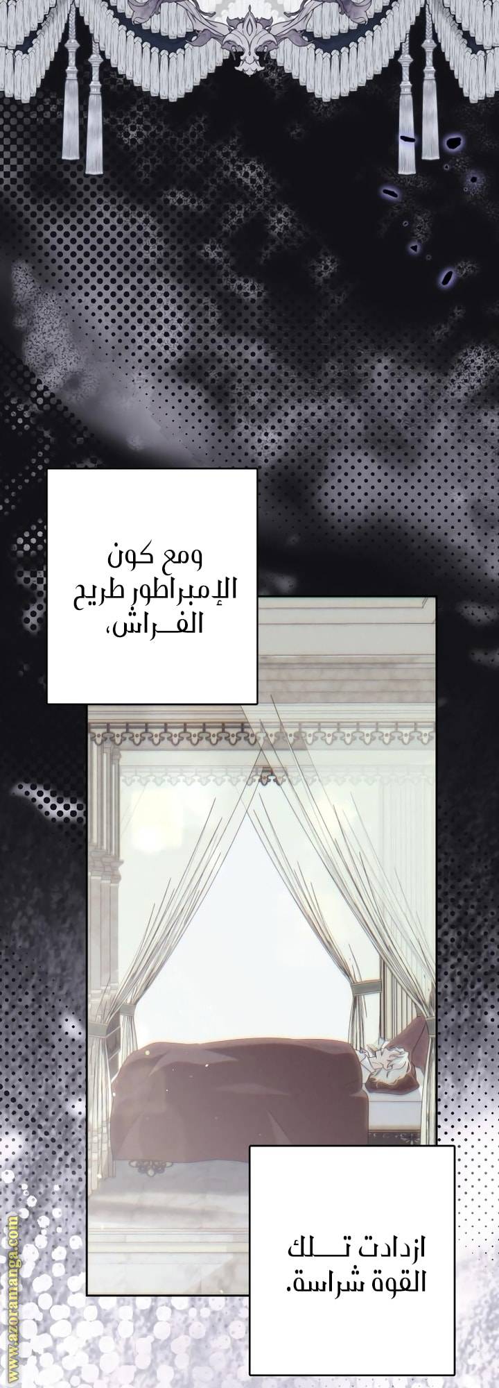 الصفحة 41