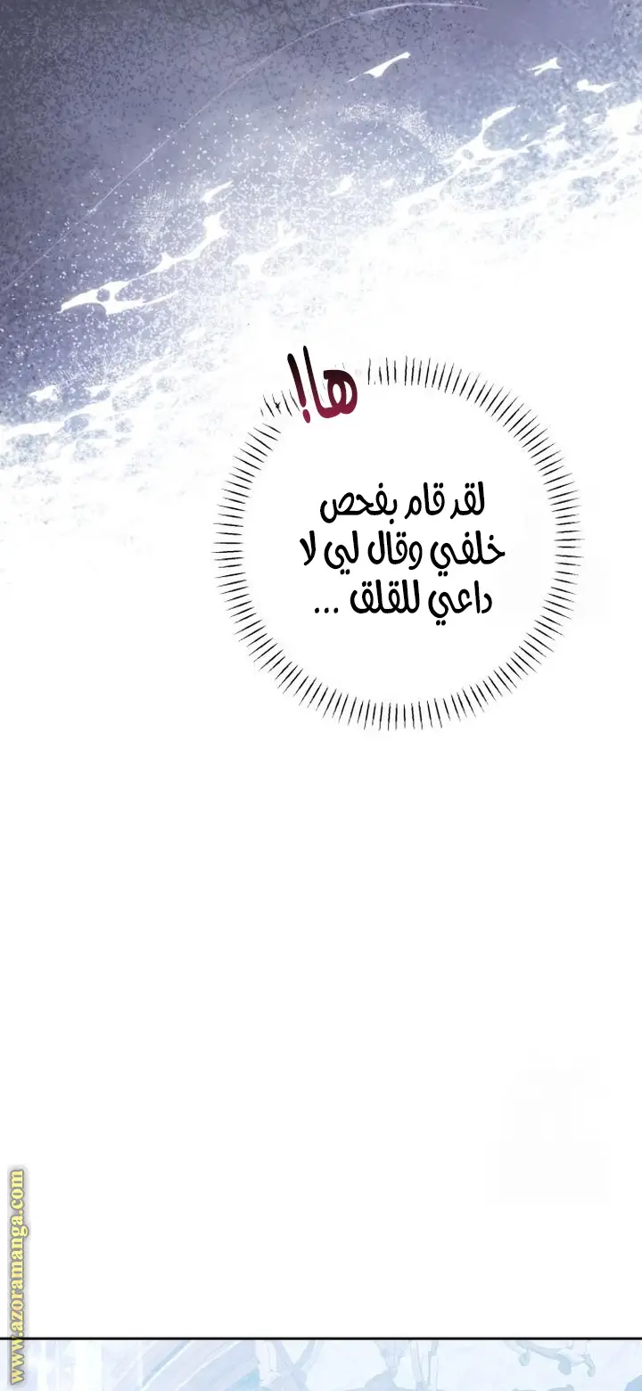 الصفحة 25