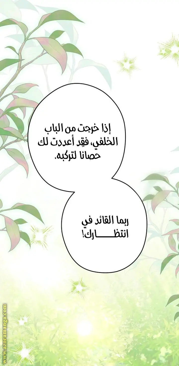 الصفحة 40
