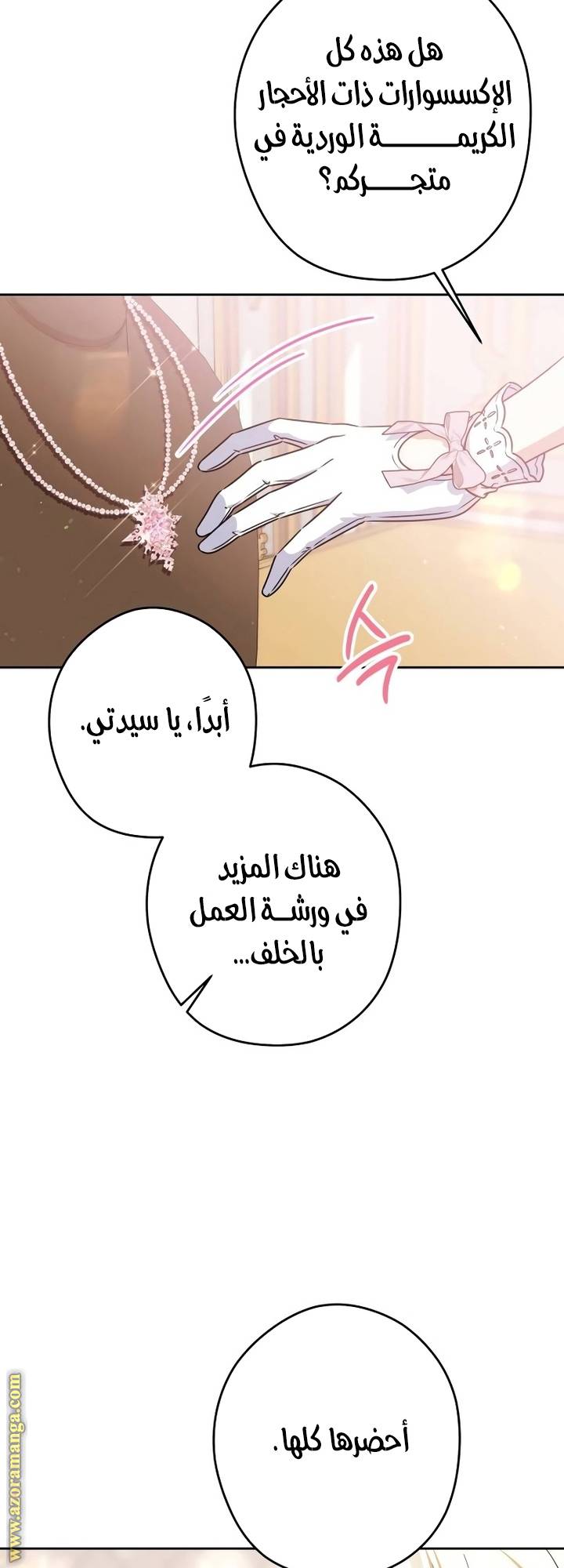 الصفحة 17