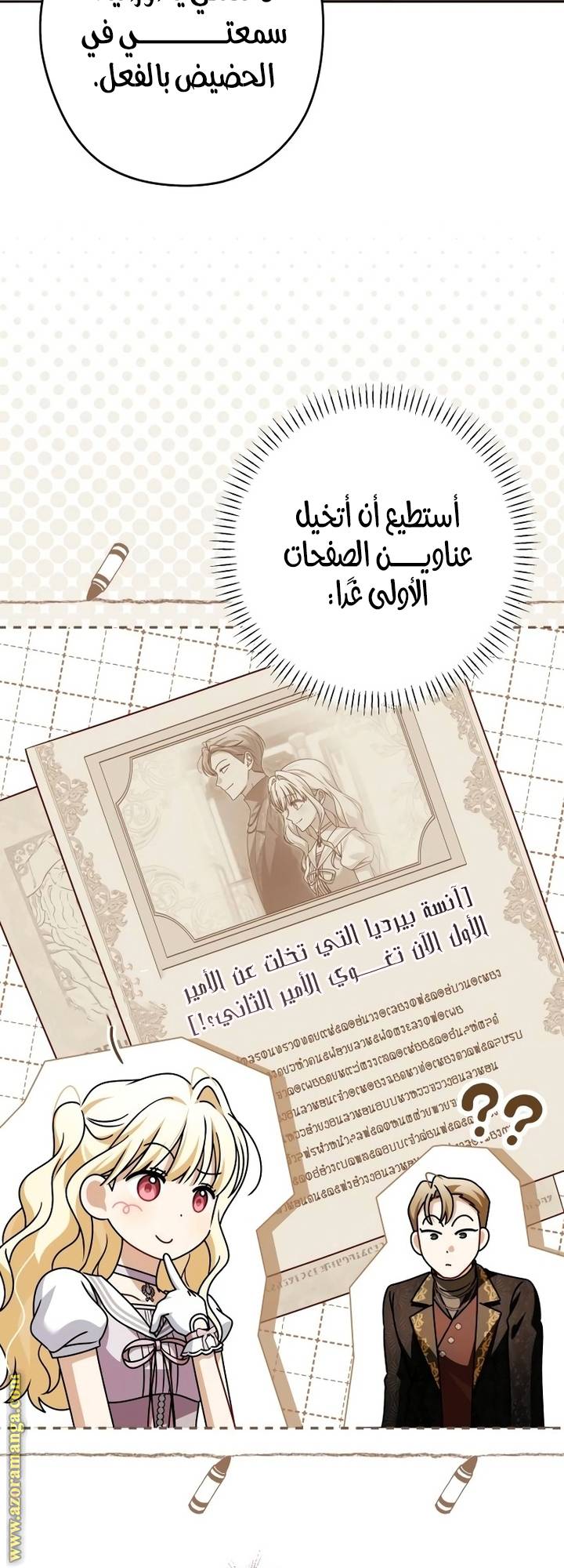 الصفحة 28