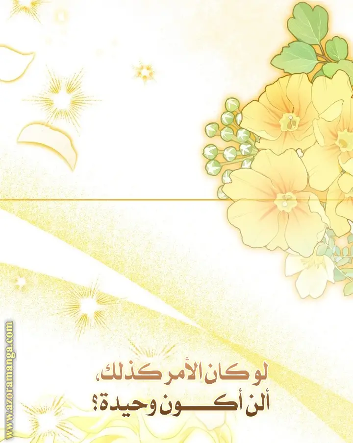الصفحة 43