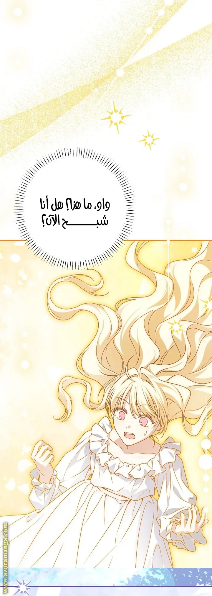 الصفحة 52