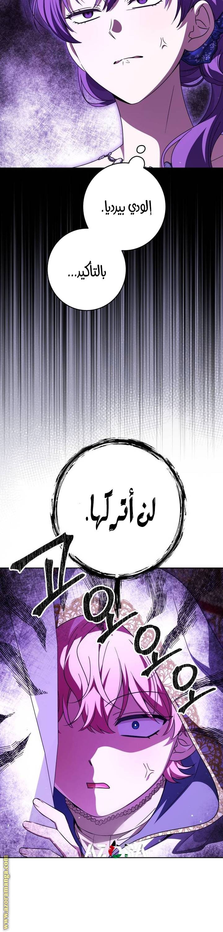 الصفحة 24