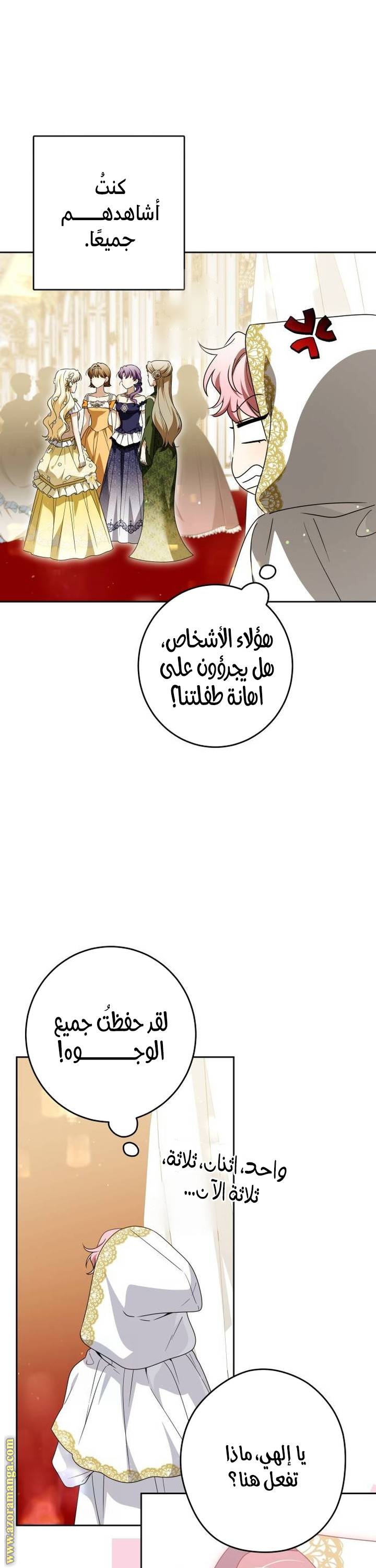 الصفحة 25