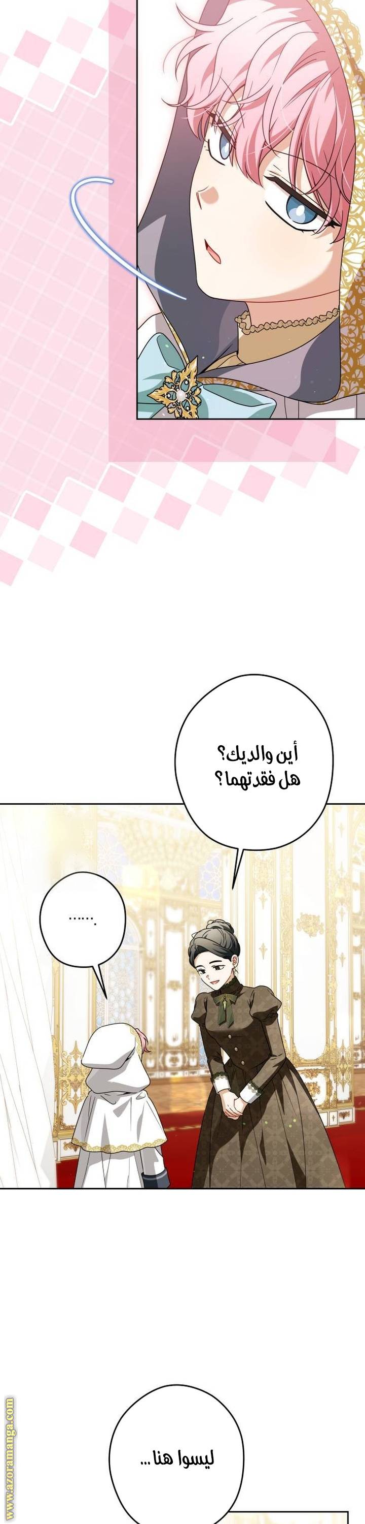الصفحة 26