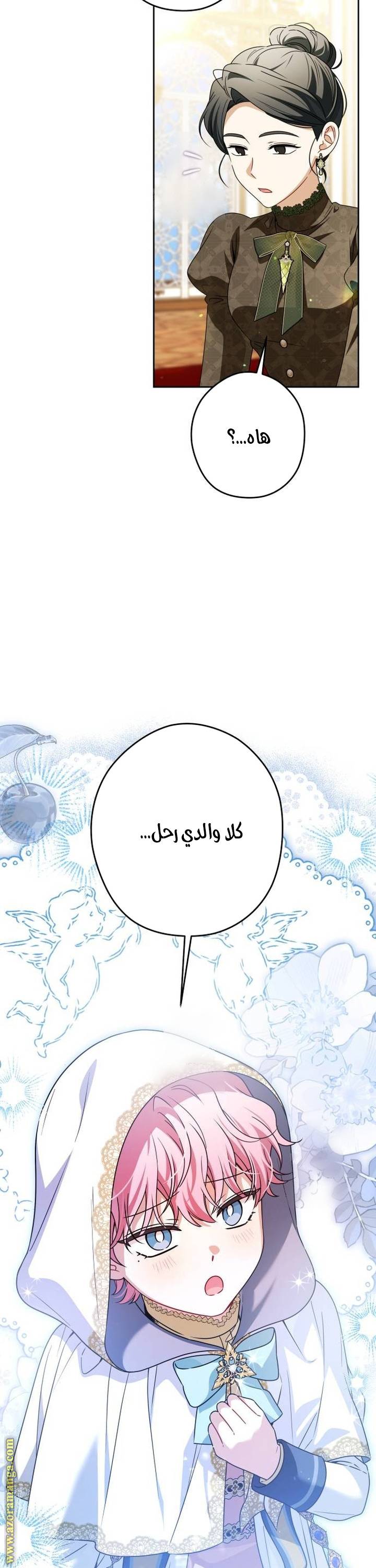 الصفحة 27