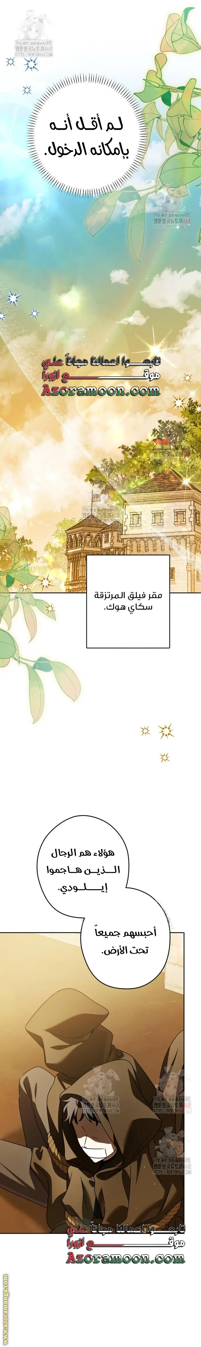 الصفحة 19