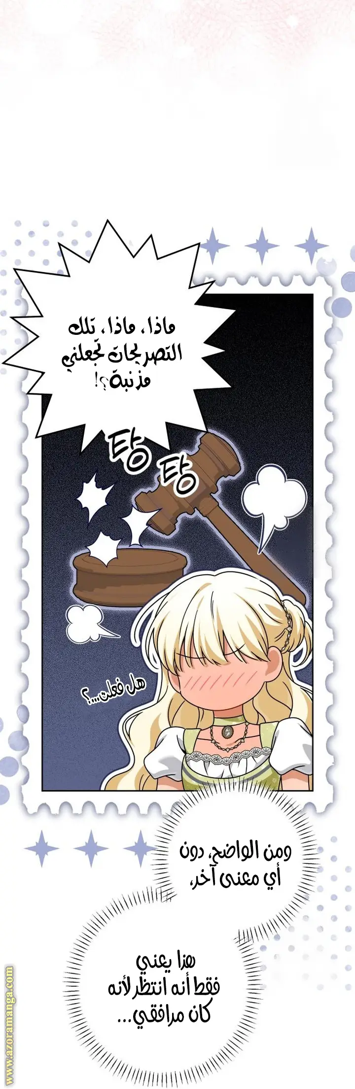الصفحة 17