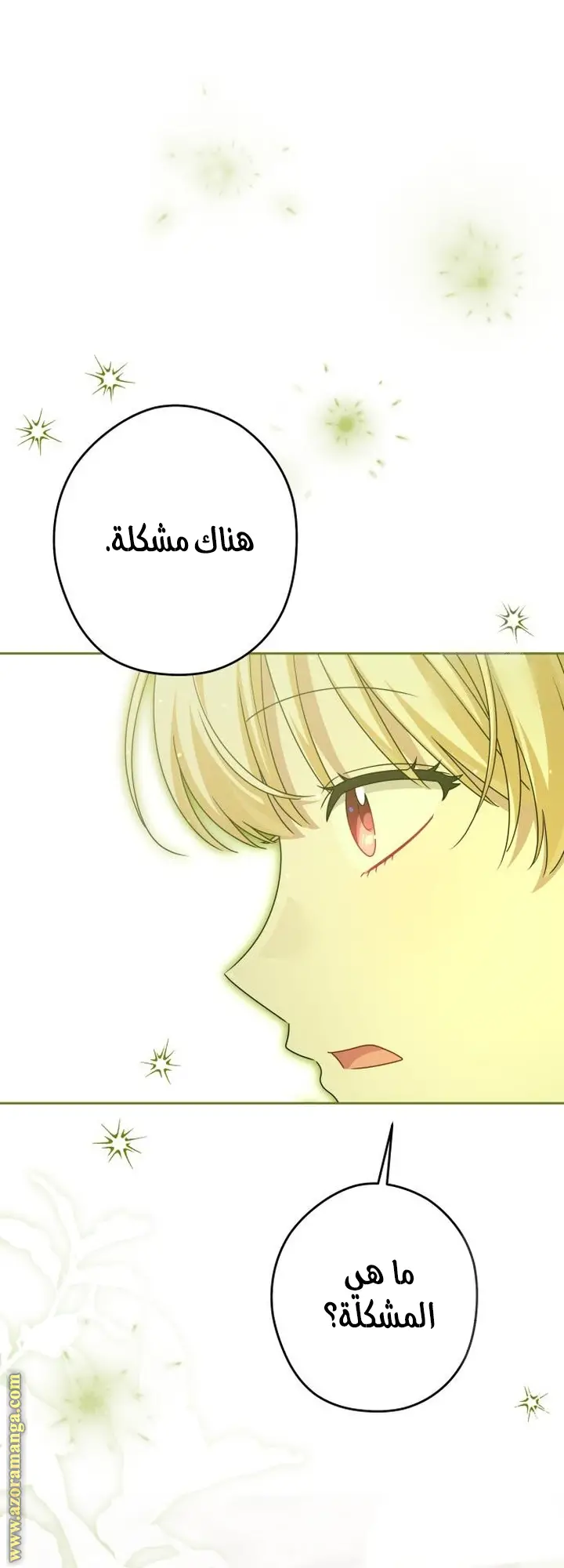 الصفحة 30