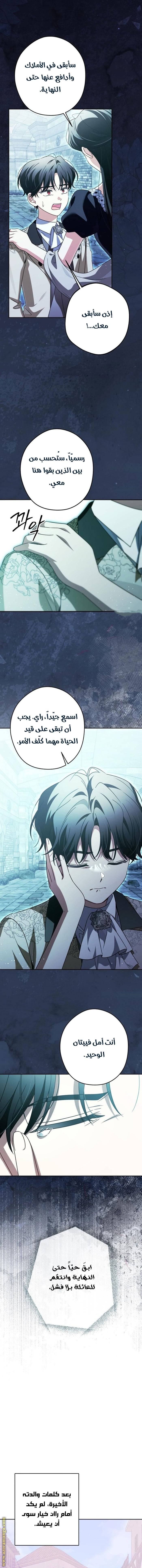 الصفحة 11