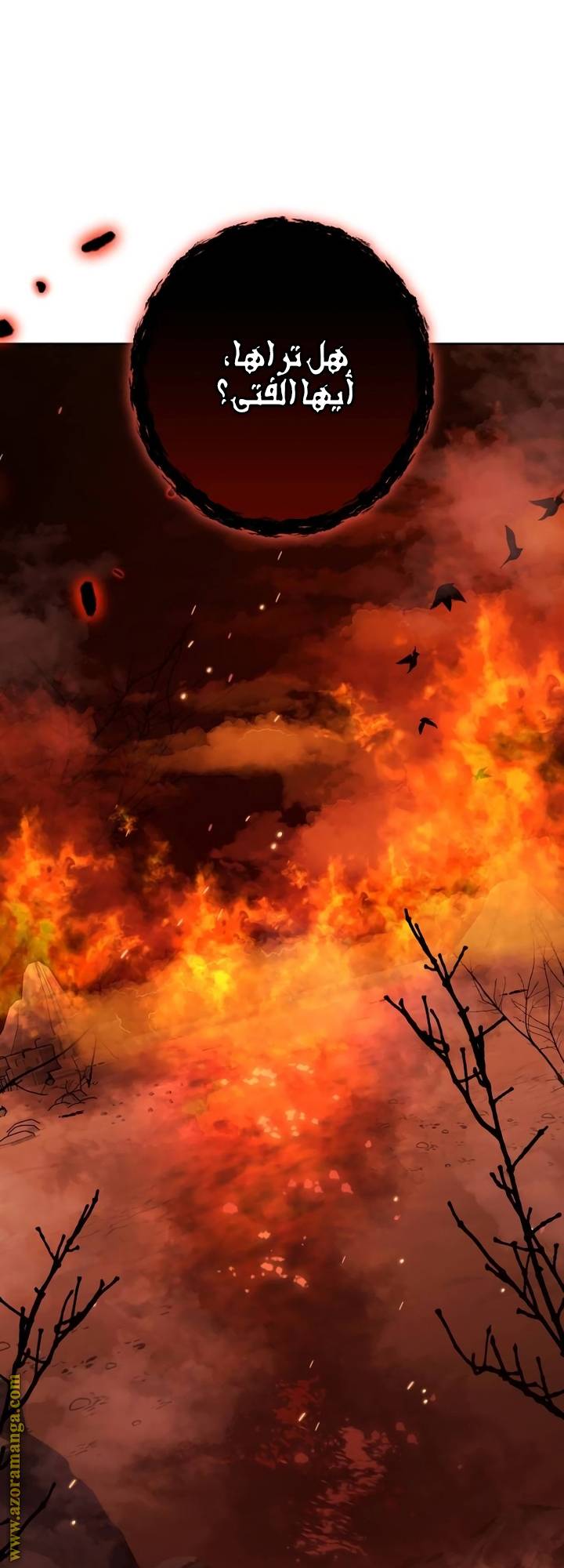 الصفحة 25