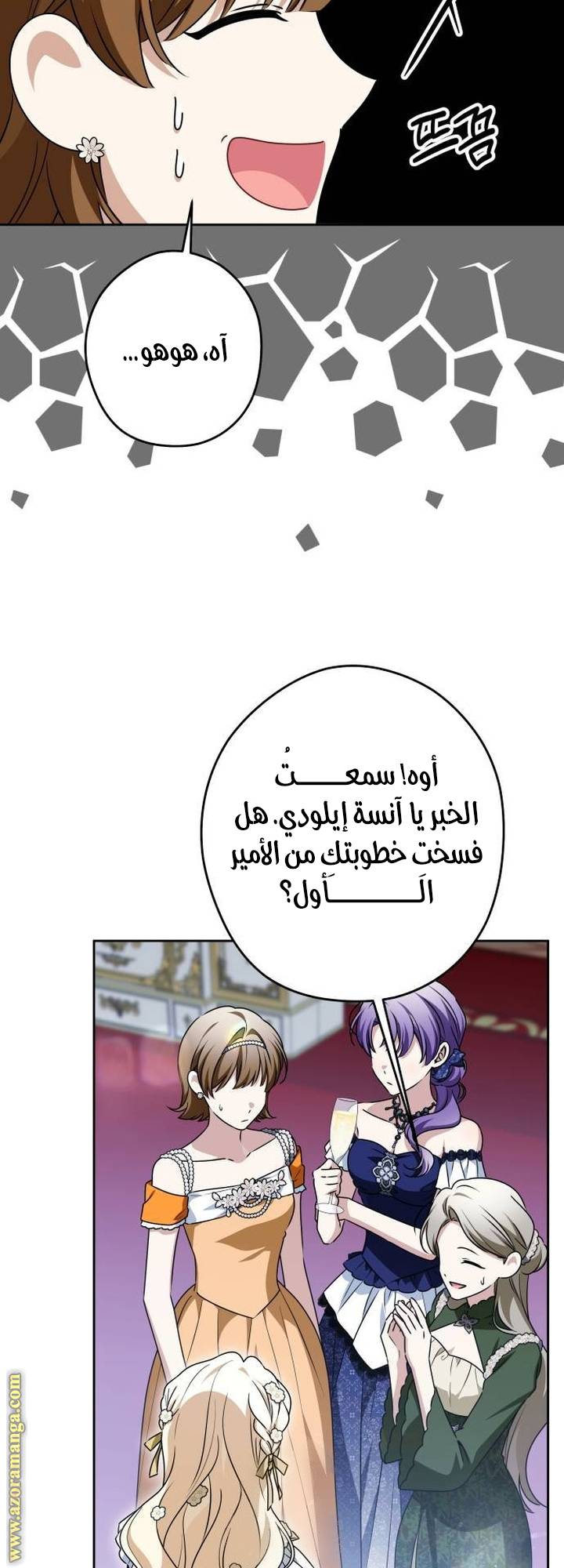 الصفحة 28