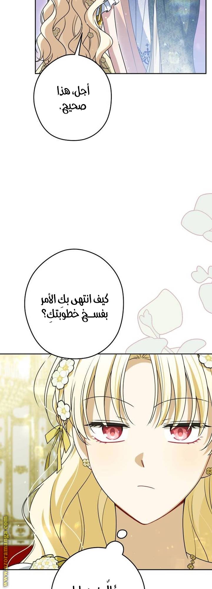 الصفحة 29