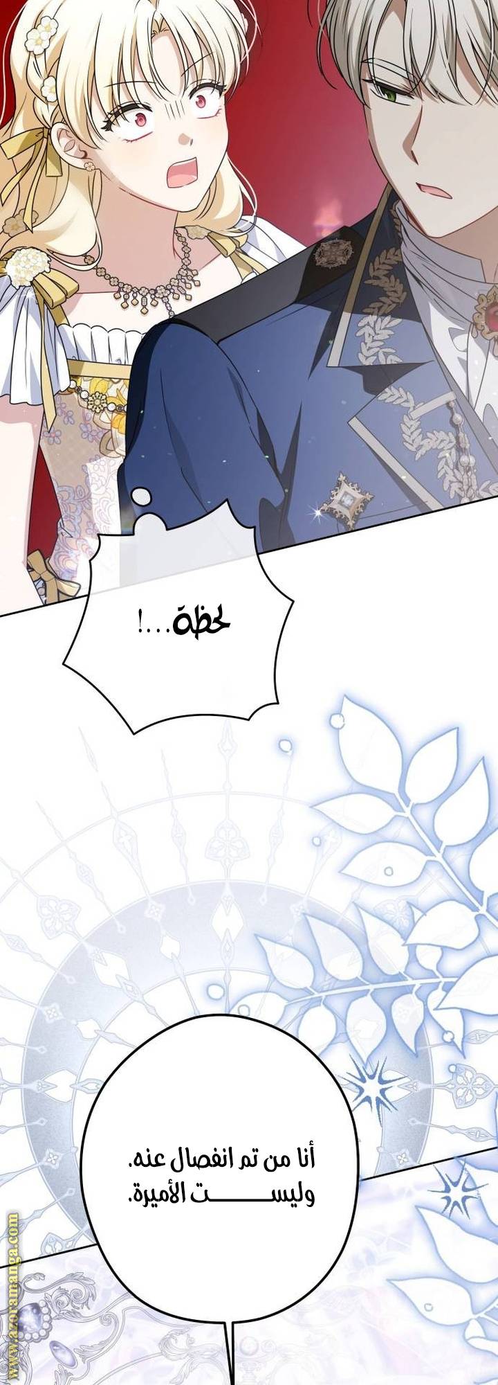 الصفحة 51