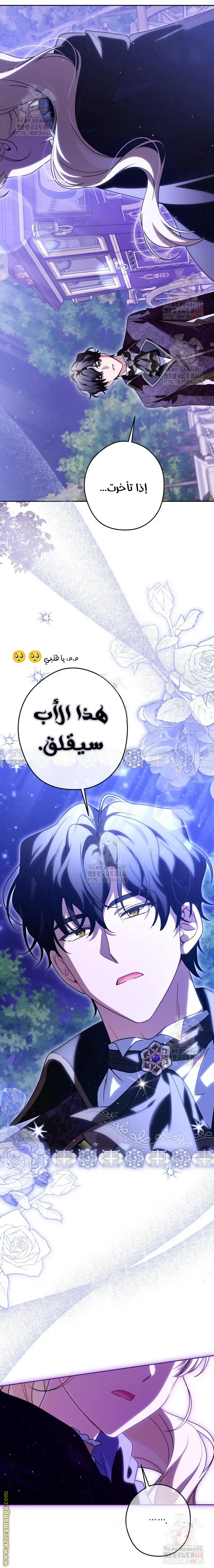 الصفحة 14