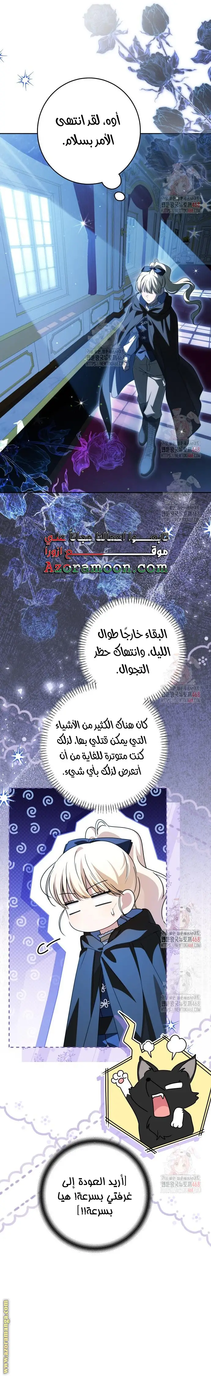 الصفحة 17