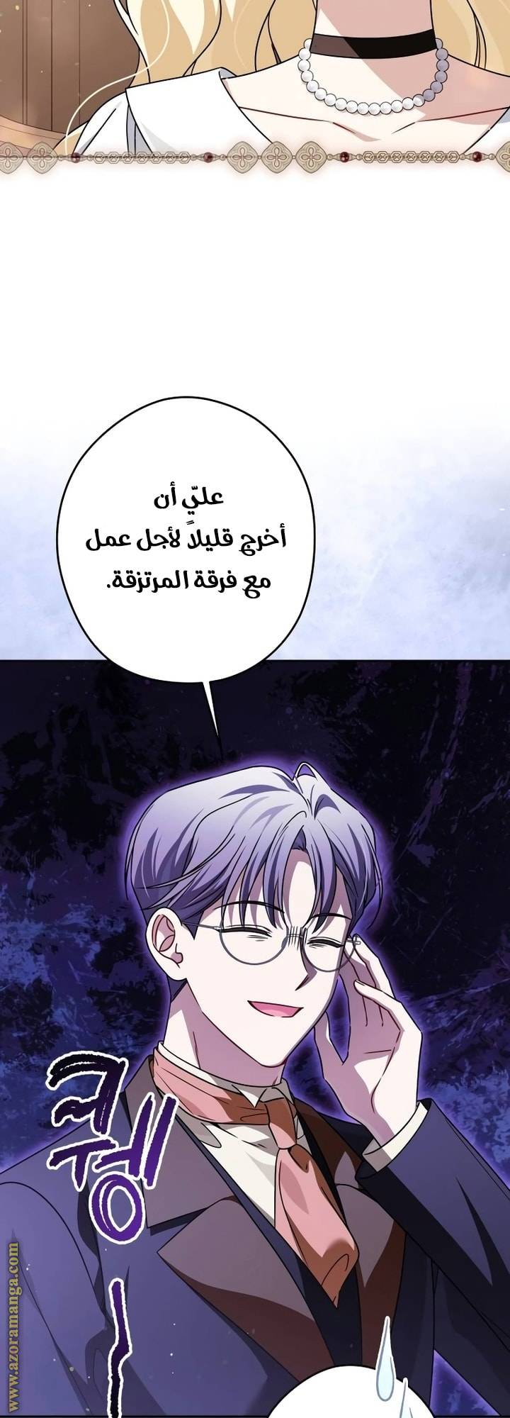 الصفحة 17