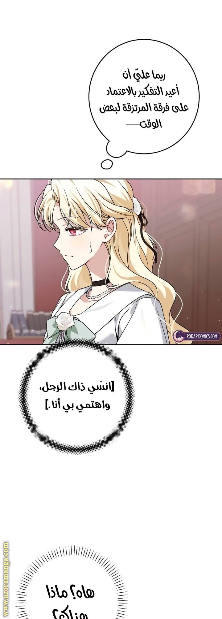 الصفحة 19