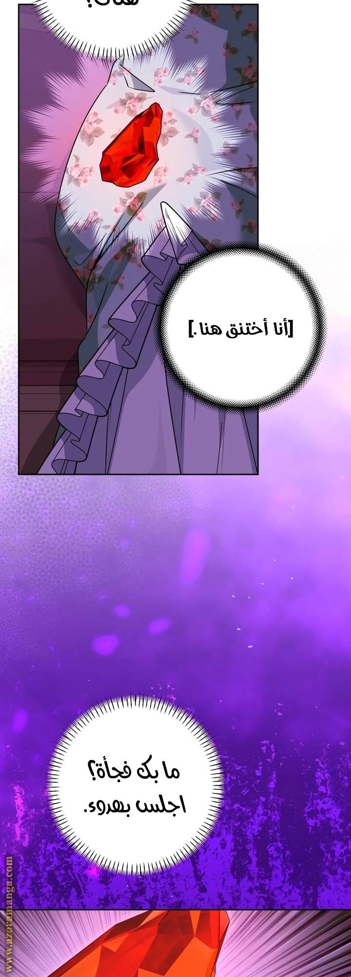 الصفحة 20