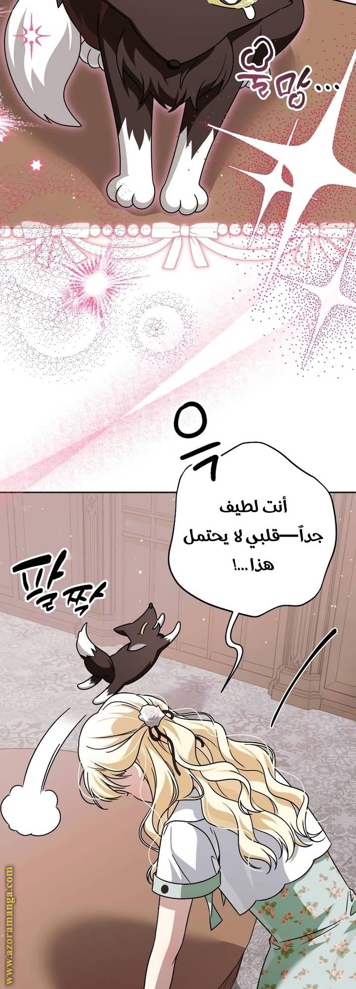الصفحة 24