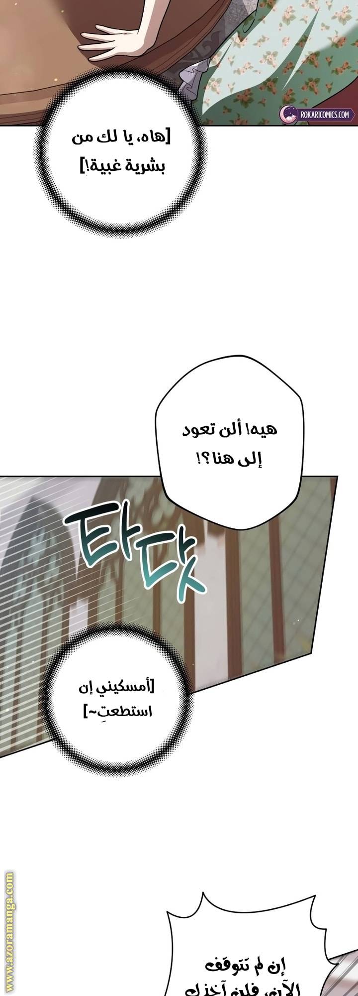 الصفحة 25