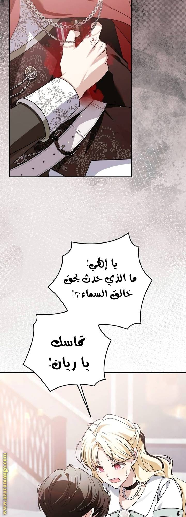 الصفحة 31