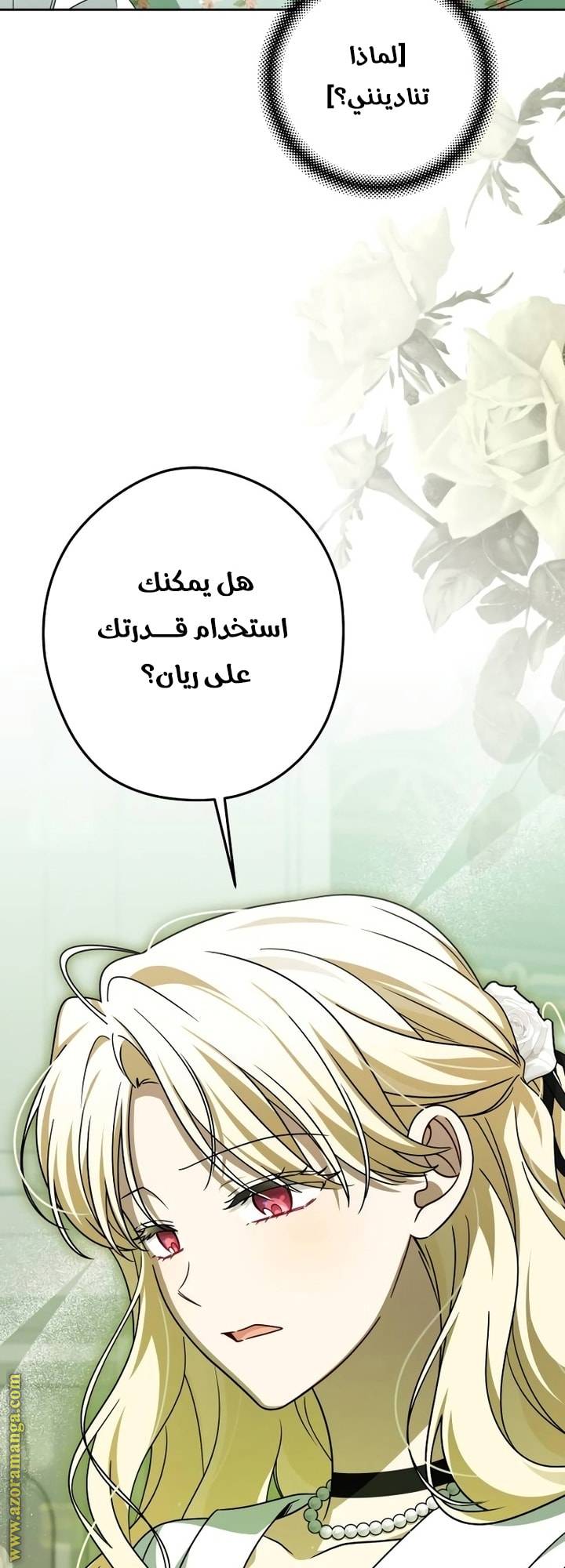 الصفحة 44