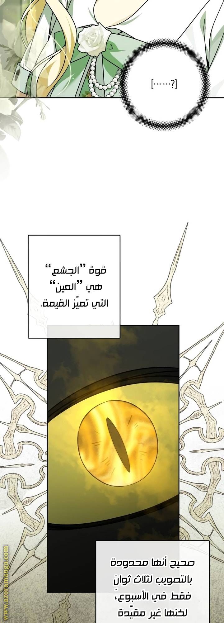 الصفحة 45