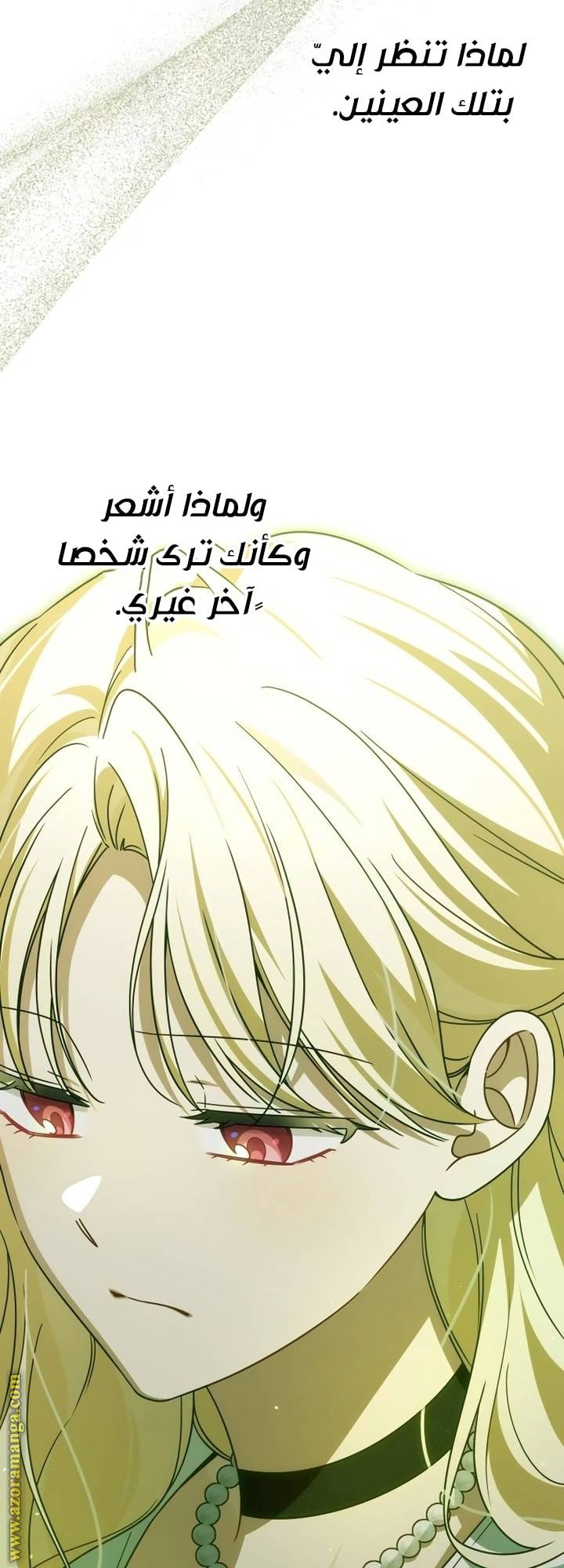 الصفحة 48