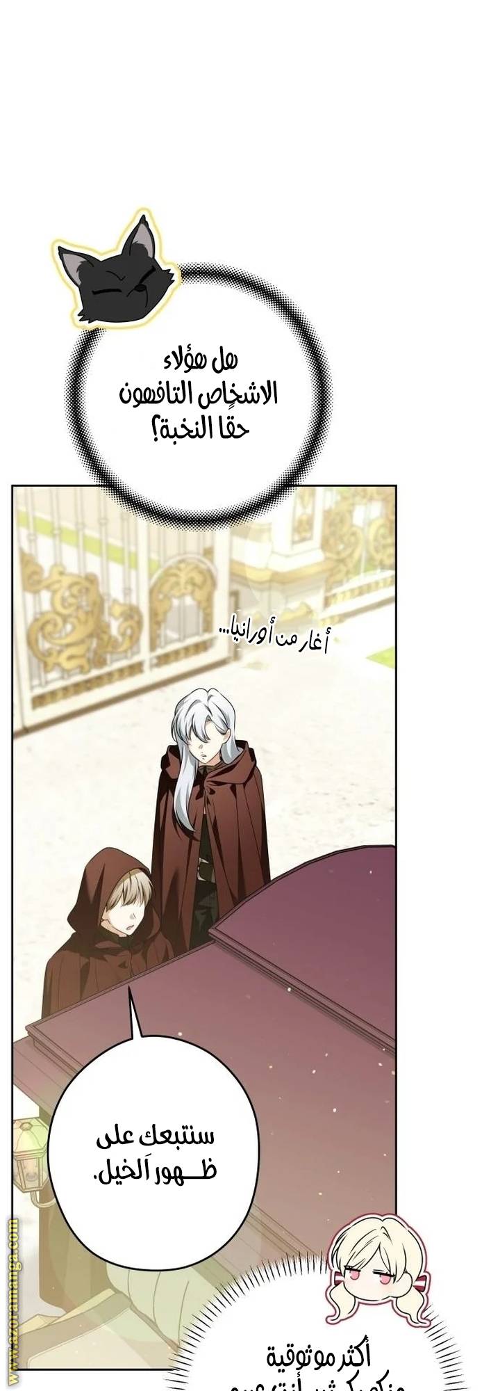 الصفحة 11