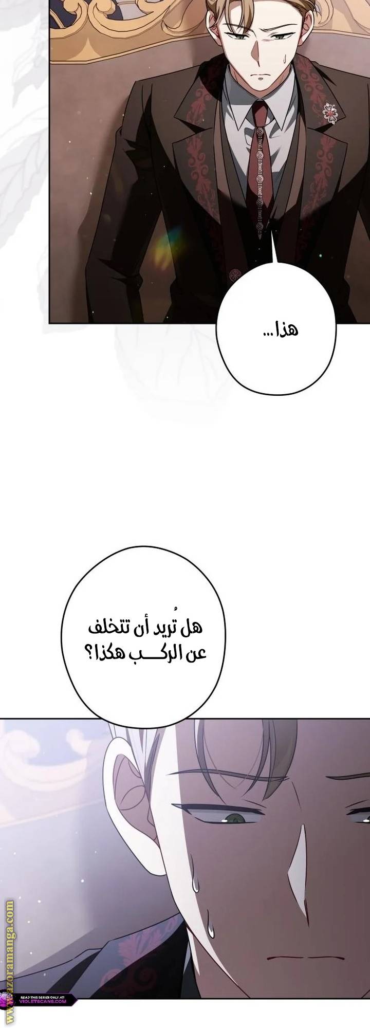 الصفحة 43