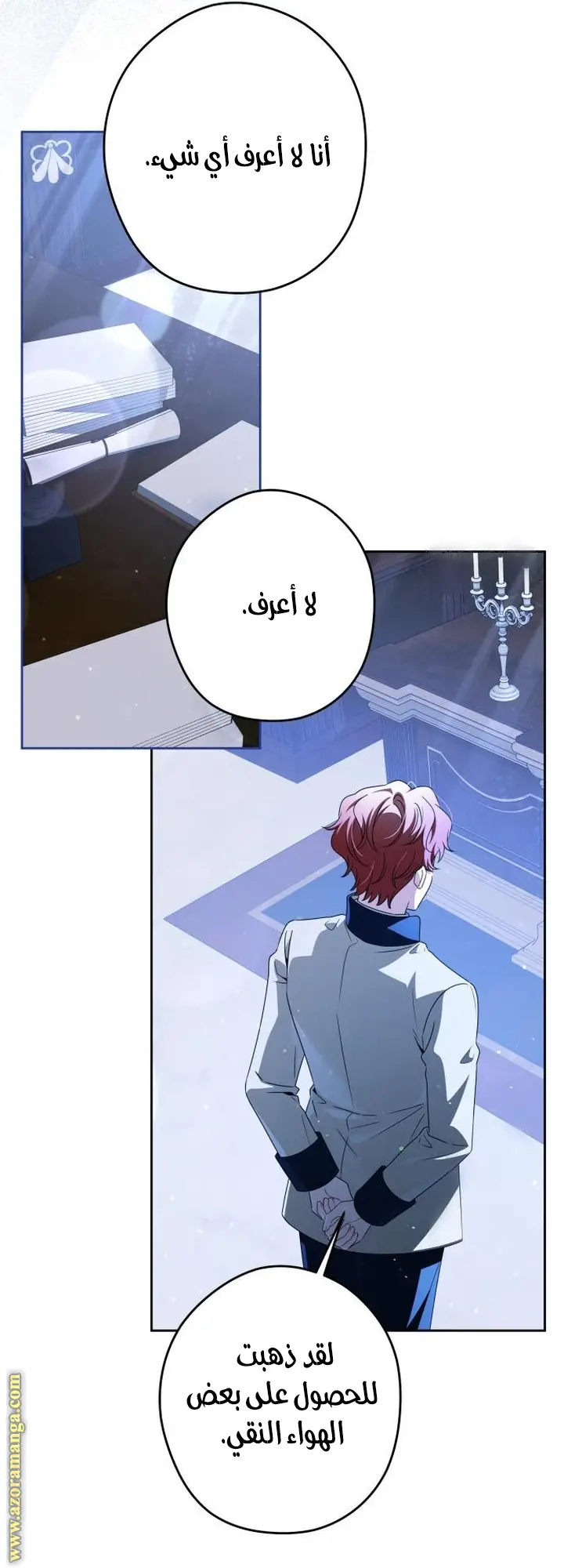 الصفحة 17