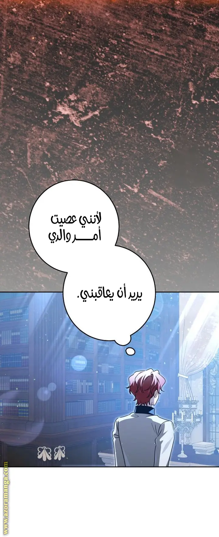 الصفحة 26