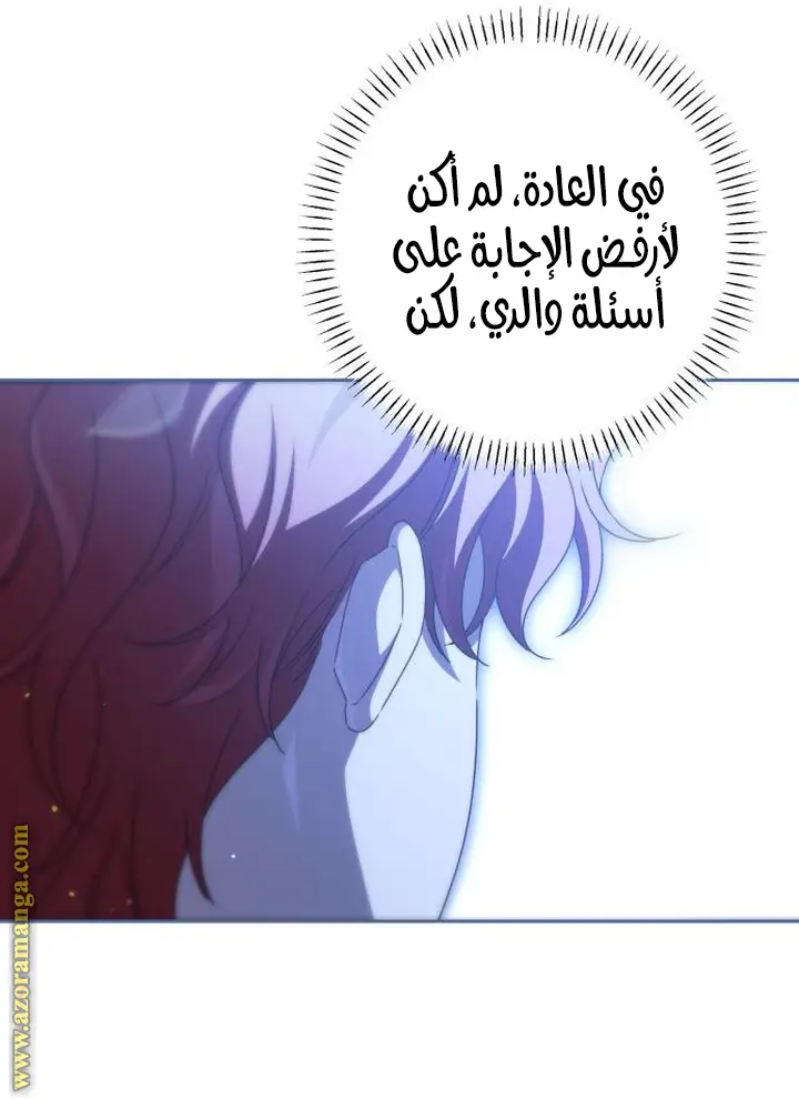 الصفحة 27