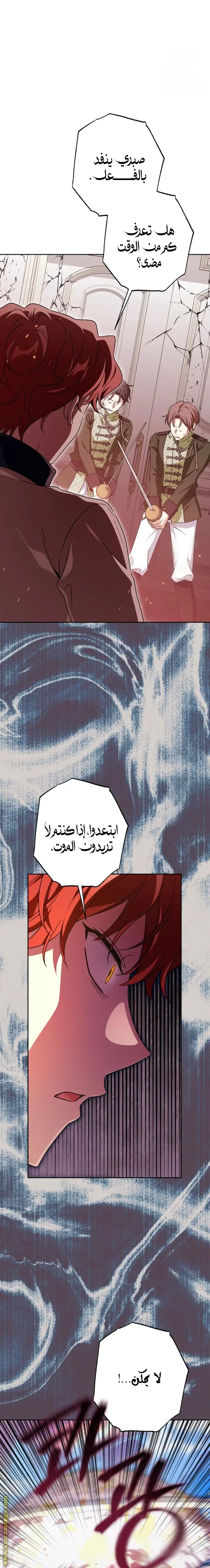 الصفحة 26