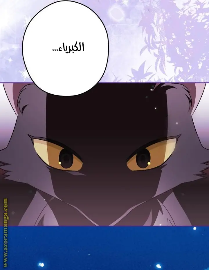 الصفحة 45