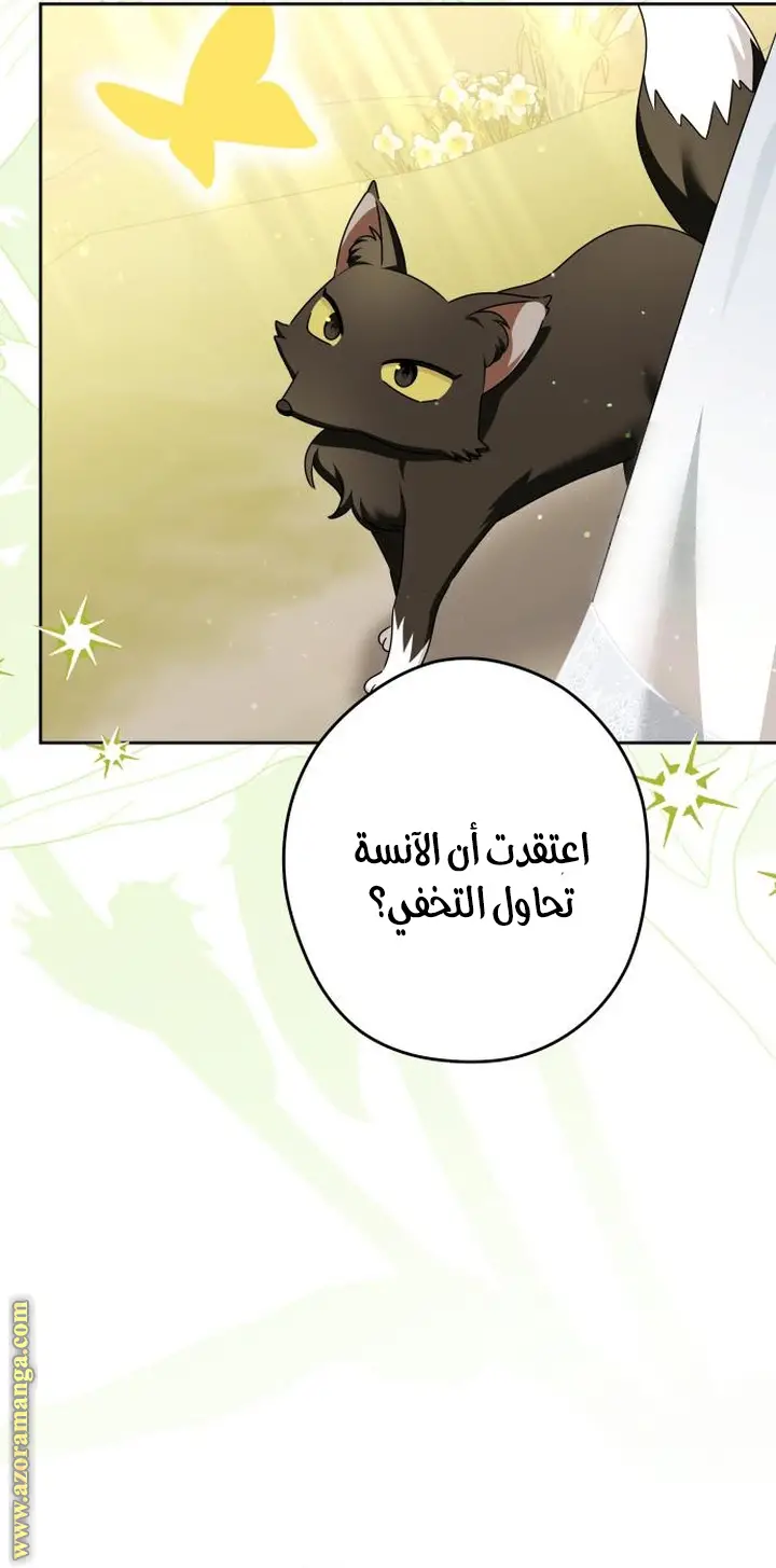 الصفحة 55