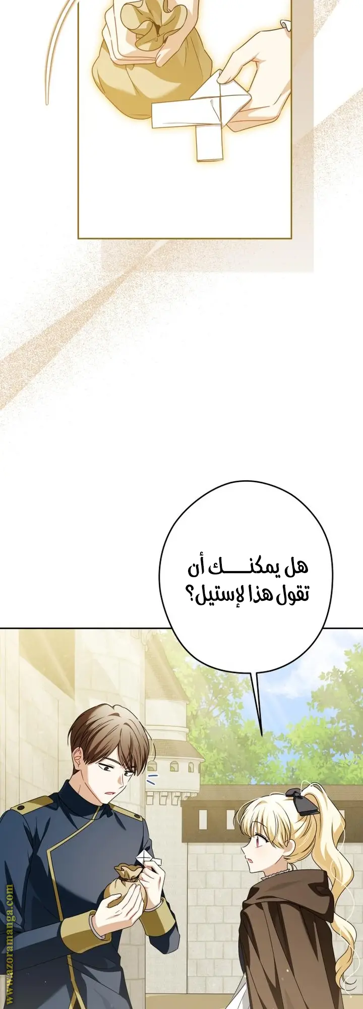 الصفحة 29