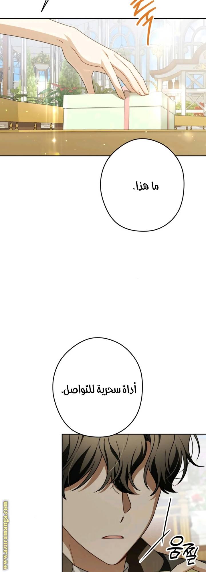 الصفحة 19