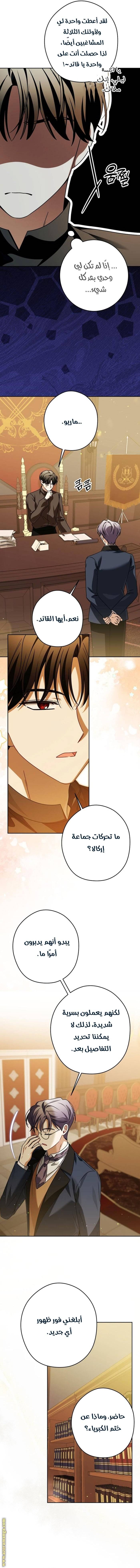 الصفحة 11