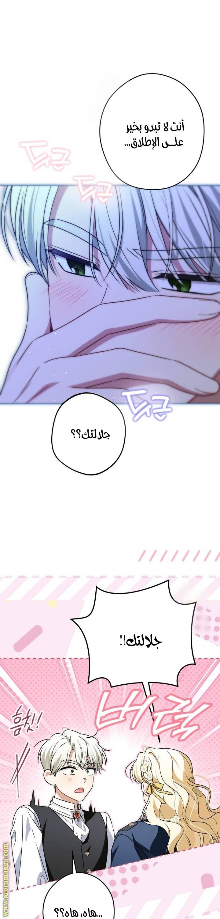 الصفحة 22