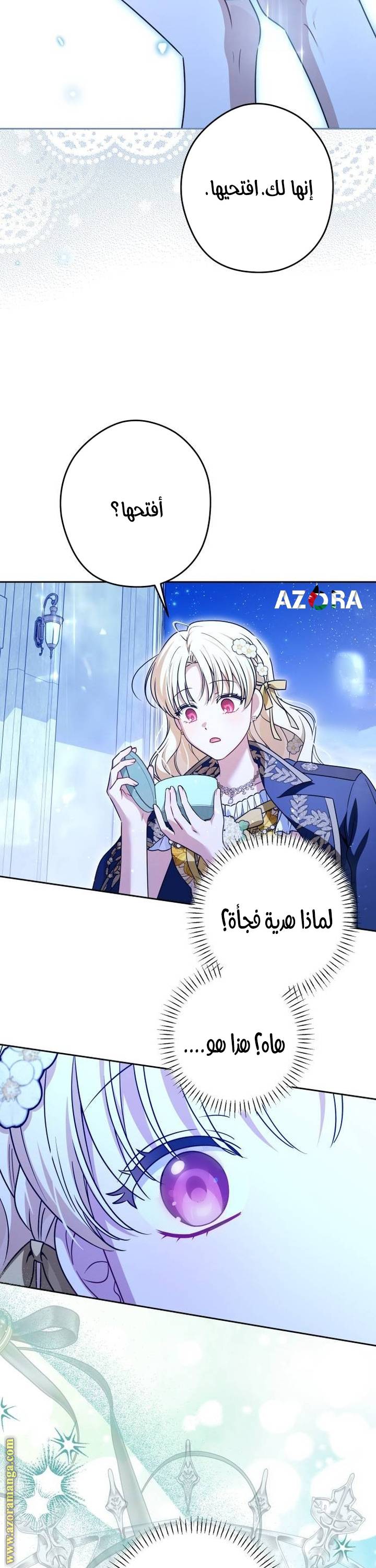 الصفحة 25
